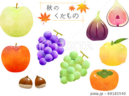 かわいい秋の果物のイラストセットのイラスト素材