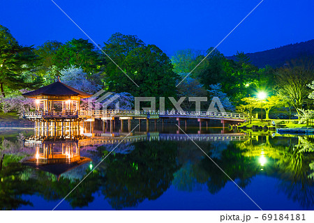 浮見堂と鷺池のライトアップ夜景 春 奈良県奈良市 奈良公園 年4月の写真素材