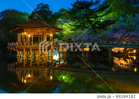 浮見堂と鷺池のライトアップ夜景 春 (奈良県奈良市 奈良公園) 浮見堂と鷺池のライトアップ夜景 春 (奈良県奈良市 奈良公園) 69184182