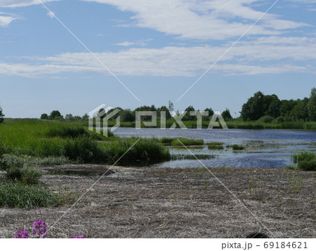 swampy lake shore summer 69184621