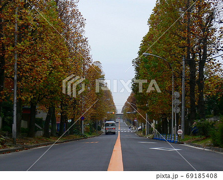 横浜市青葉区美しが丘　たまプラーザ　ユリノキ通り 69185408