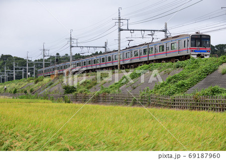 実った田んぼの築堤を走る3700形京成電車 実った田んぼの築堤を走る3700形京成電車 69187960