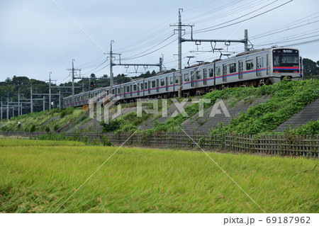 実った田んぼの築堤を走る3000形京成電車 実った田んぼの築堤を走る3000形京成電車 69187962