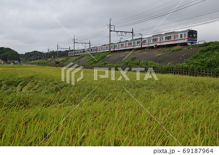 実った田んぼの築堤を走る3700形京成電車 実った田んぼの築堤を走る3700形京成電車 69187964