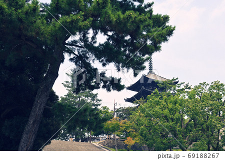 世界遺産・奈良公園 世界遺産・奈良公園 69188267