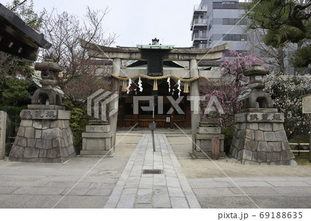 菅大臣神社　八重紅枝垂れ梅と飛梅（白梅） 69188635