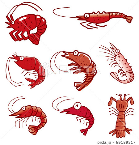 エビ01 エビ01 69189517