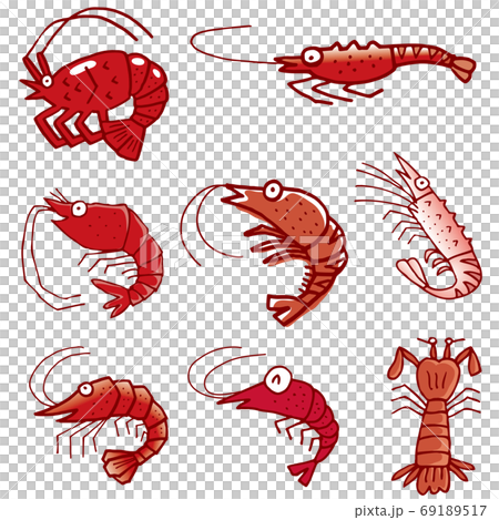 エビ01 エビ01 69189517