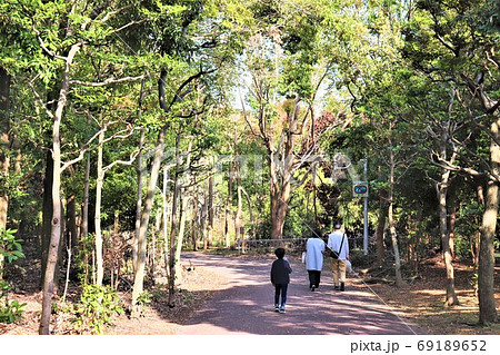堺市新檜尾台・新檜尾台公園秋の風景 堺市新檜尾台・新檜尾台公園秋の風景 69189652