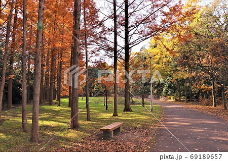 堺市新檜尾台・新檜尾台公園秋の風景 堺市新檜尾台・新檜尾台公園秋の風景 69189657