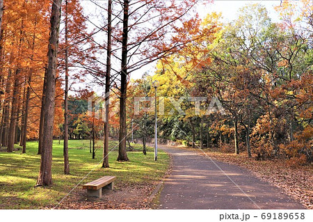堺市新檜尾台・新檜尾台公園秋の風景 69189658