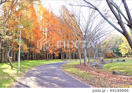 堺市新檜尾台・新檜尾台公園秋の風景 69189666