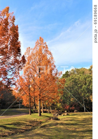 堺市新檜尾台・新檜尾台公園秋の風景 69189668