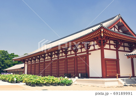 奈良・薬師寺 69189991
