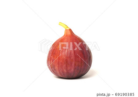 いちじく（ドーフィン） 69190385