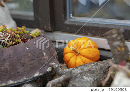 ハロウィーン ハロウィン ドイツ 69190508