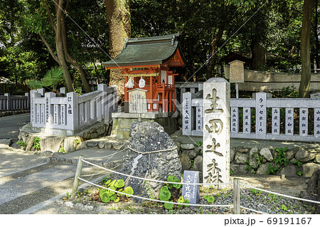 神戸 生田神社 戸隠神社 生田の森 さざれ石 兵庫県神戸市の写真素材 