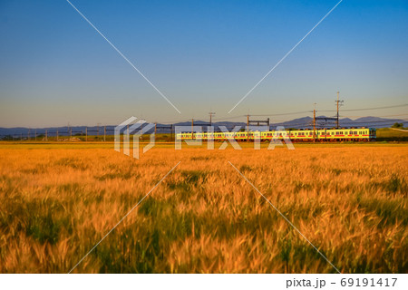 小麦色の筑後 69191417