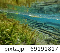 北海道知床釧路川源流カヌー体験の「鏡の間」水中画像 69191817