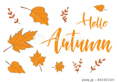 Hello Autumn brush hand lettering text with leaves Hello Autumn brush hand lettering text with leaves 69192334