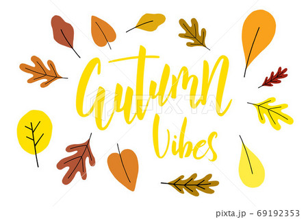 Autumn vibes brush hand lettering text isolated Autumn vibes brush hand lettering text isolated 69192353