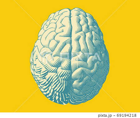 Engraving top view brain illustration on yellow BG 69194218