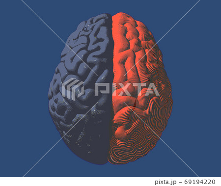 Engraving separate brain side illustration on blue BG 69194220