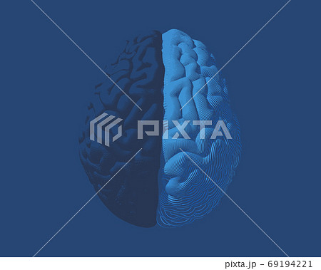 Engraving separate brain side illustration on blue BG 69194221