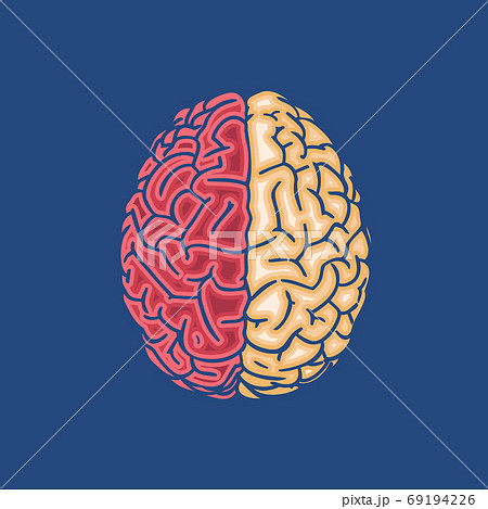 Red and yellow brain icon on deep blue BG 69194226