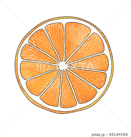 スライスオレンジのイラスト素材