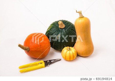 四種類のカボチャと果樹ハサミの写真素材