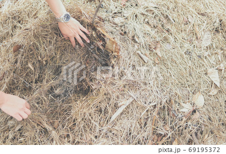 organic compost heap. fertilizer production for soil cultivation organic compost heap. fertilizer production for soil cultivation 69195372