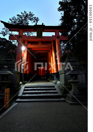 夜明け前の千本鳥居　伏見稲荷大社 69196663