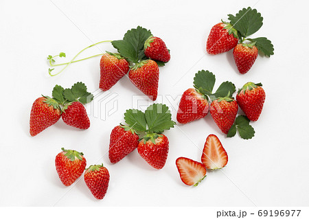 イチゴと苺といちご 69196977