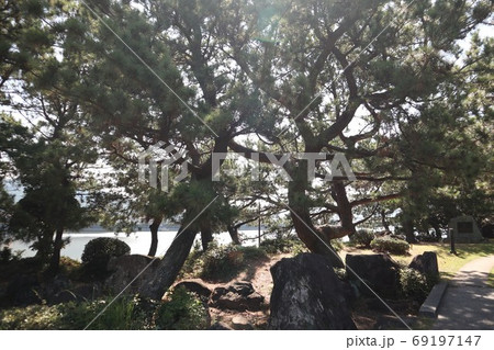 和歌山和歌浦の万葉の道 69197147