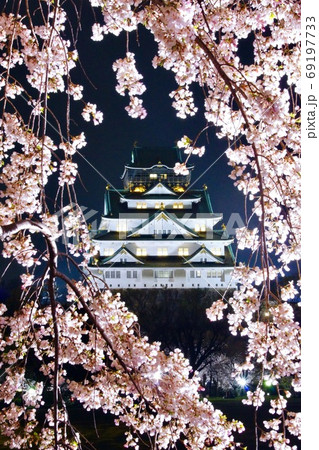 大阪城天守閣と満開の桜 大阪城公園 大阪府大阪市 大阪城天守閣と満開の桜 大阪城公園 大阪府大阪市 69197733