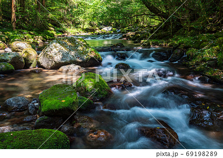 盛夏の菊池に流れる川に涼を求める 盛夏の菊池に流れる川に涼を求める 69198289