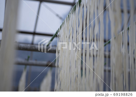 かんぴょう農家　かんぴょう剥き　干瓢　野菜　農業　栽培　栃木　 69198826