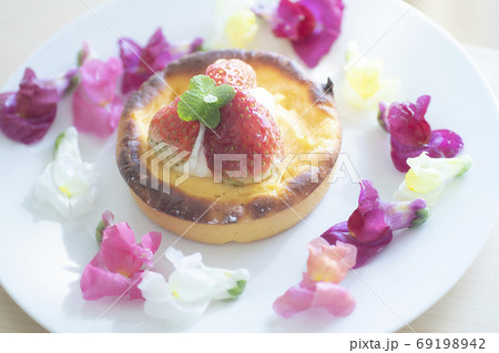 エディブルフラワー 食用花 花 エディブル タルト 料理 食べ物 フード カラフルの写真素材