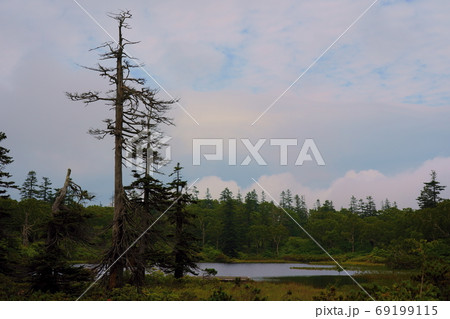 北海道2020夏 神仙沼 北海道2020夏 神仙沼 69199115