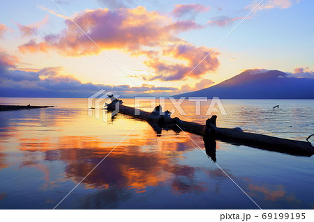 北海道2020夏 支笏湖 流木の写真素材 [69199195] - PIXTA