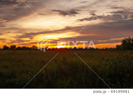 夕焼け 夕暮れ 夏 69199981