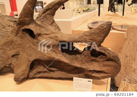 玄武洞ミュージアム 玄武洞ミュージアム 69201184