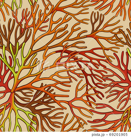 sea moss pattern 69201905