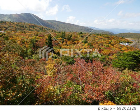 須川高原の紅葉 須川高原の紅葉 69202329