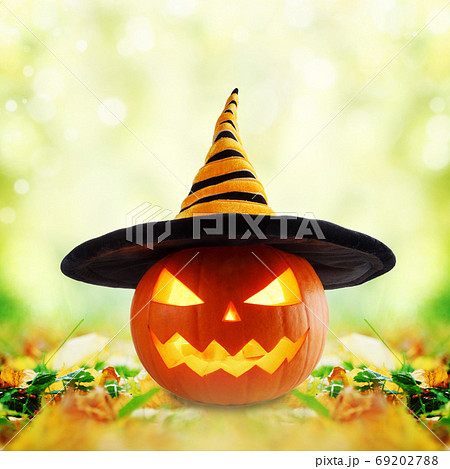 Halloween pumpkin on autumn foliage Halloween pumpkin on autumn foliage 69202788