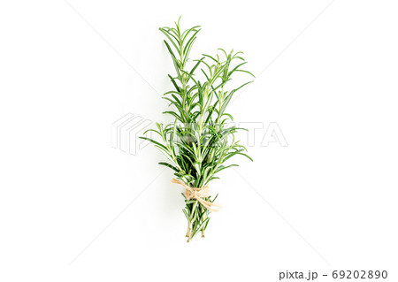 Green bundle of rosemary isolated on a white background. Herbs. Flat lay. Top view Green bundle of rosemary isolated on a white background. Herbs. Flat lay. Top view 69202890