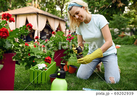 Smiling woman transplants flowers in the garden 69202939