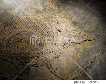 黄果樹奇石館 黄果樹奇石館 69204236