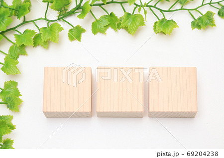 四角形のヒノキのブロックと新緑　テキストスペース　コピースペース　 69204238